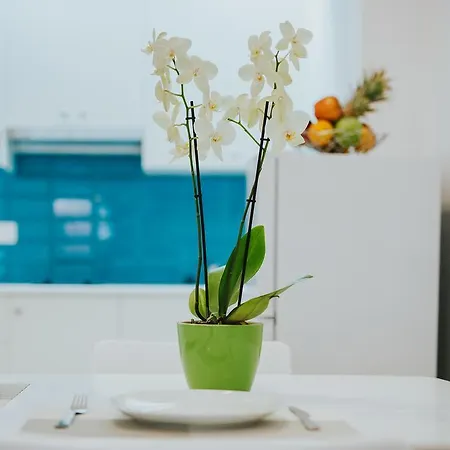 Stephanie Appartement *
