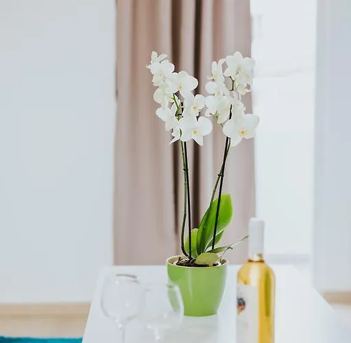 Apartament Stephanie Larnaca