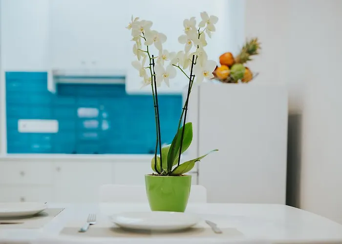 Stephanie Apartament *