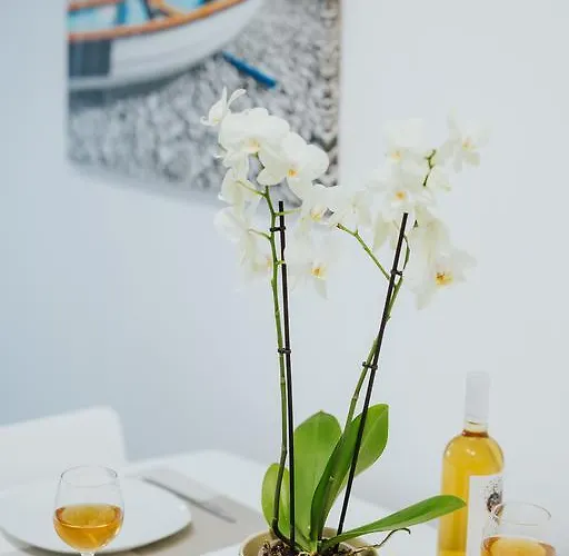 Stephanie Appartement *