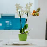 Stephanie Apartament *