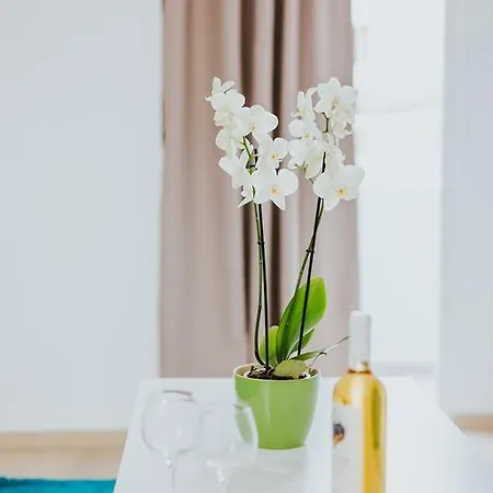 公寓 Stephanie 拉纳卡