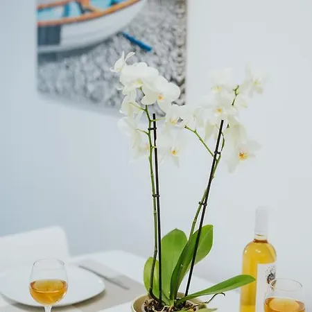 Stephanie Apartament *